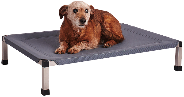 Tapinka na sedem web png